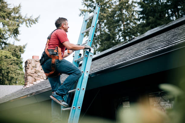 Best Roof Moss and Algae Removal  in Ken Caryl, CO